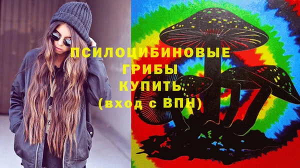 прущий лед Костерёво