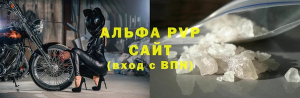 ECSTASY Коряжма