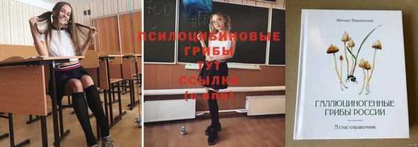 каннабис Корсаков