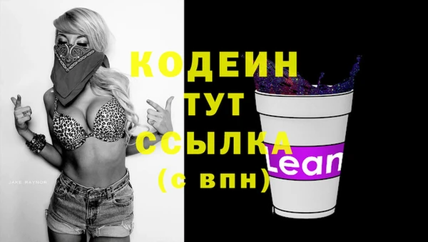прущий лед Костерёво