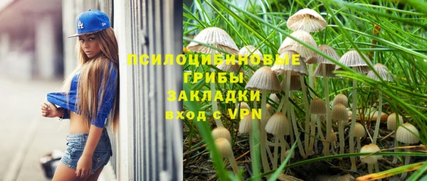 прущий лед Костерёво