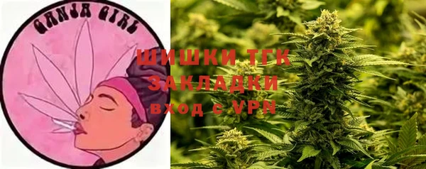 каннабис Корсаков