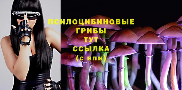 прущий лед Костерёво