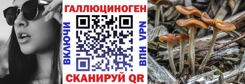 Галлюциногенные грибы прущие грибы  Южно-Сухокумск 